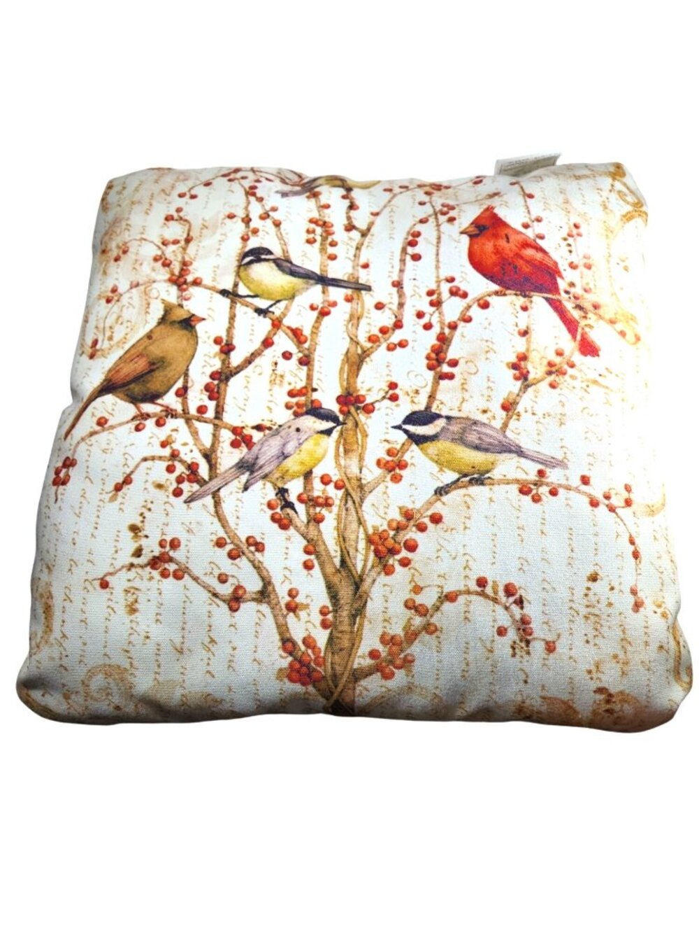 Throw Pillows Set Of 2 Birds tree leaves Tim Coffey cottagecore nature cardinal